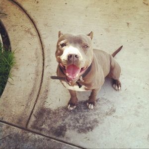 Meet your Posher, Luis